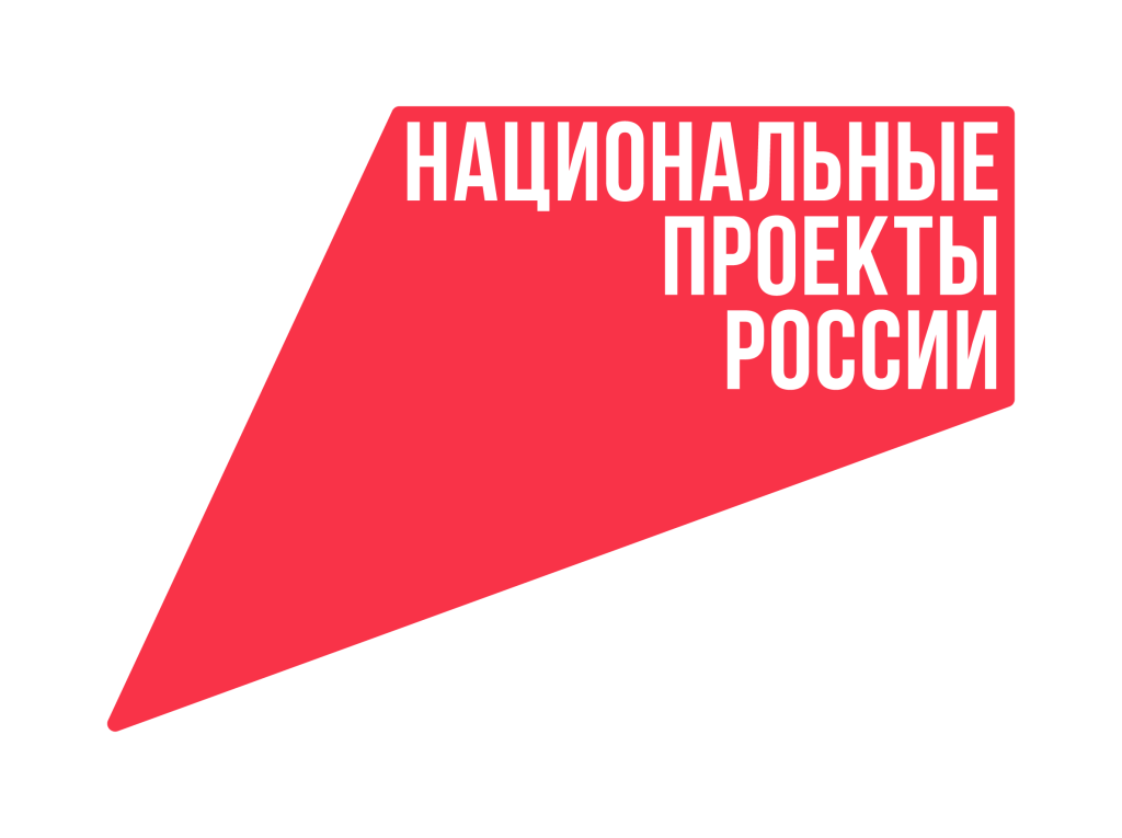 Национальные проекты России 2019-2024 г