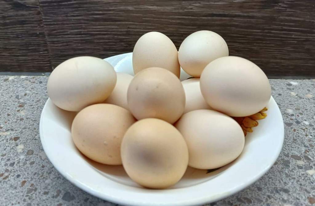 Росптицесоюз: куриные яйца не подешевеют