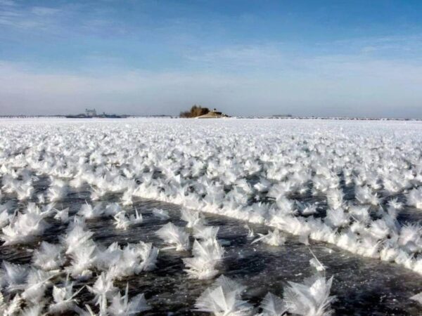 Цимлянское водохранилище покрылось «морозными цветами»