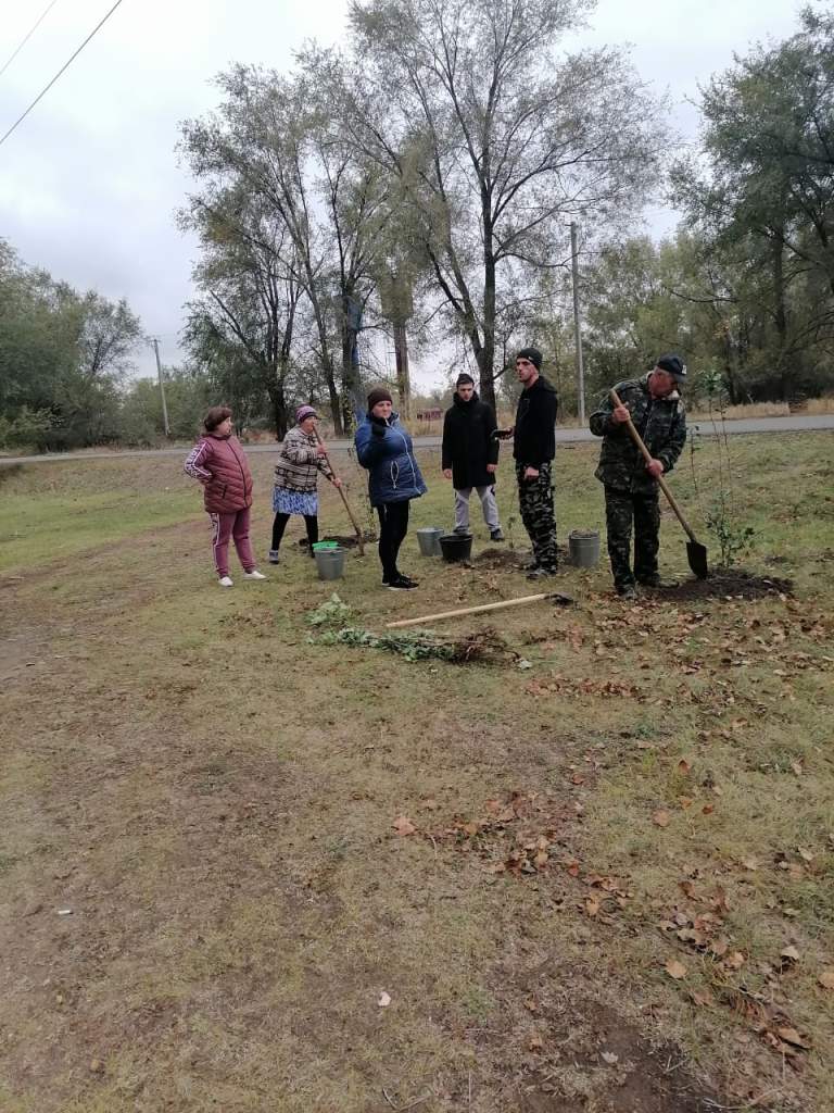 В Мартыновском районе проведена акция  «Посади своё дерево»