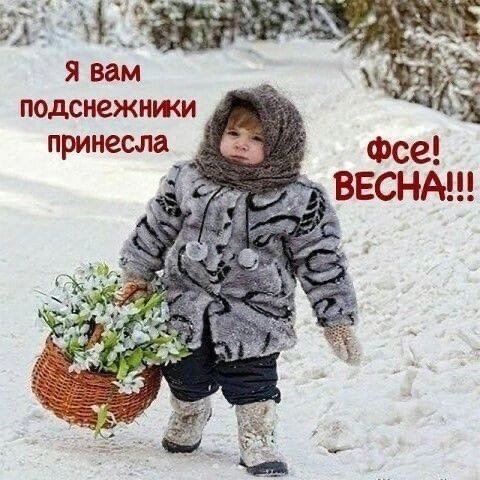 Правила выбора живых цветов в преддверии 8 Марта