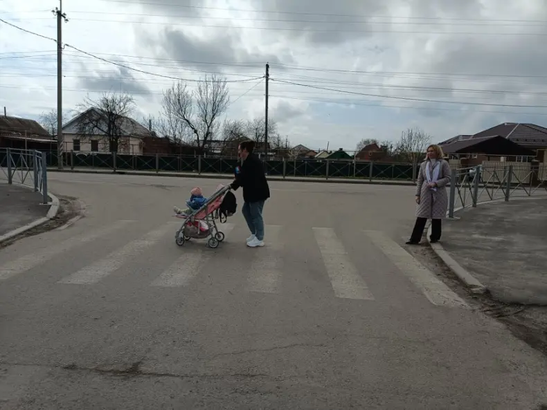 В Мартыновском районе провели мониторинг пешеходных переходов