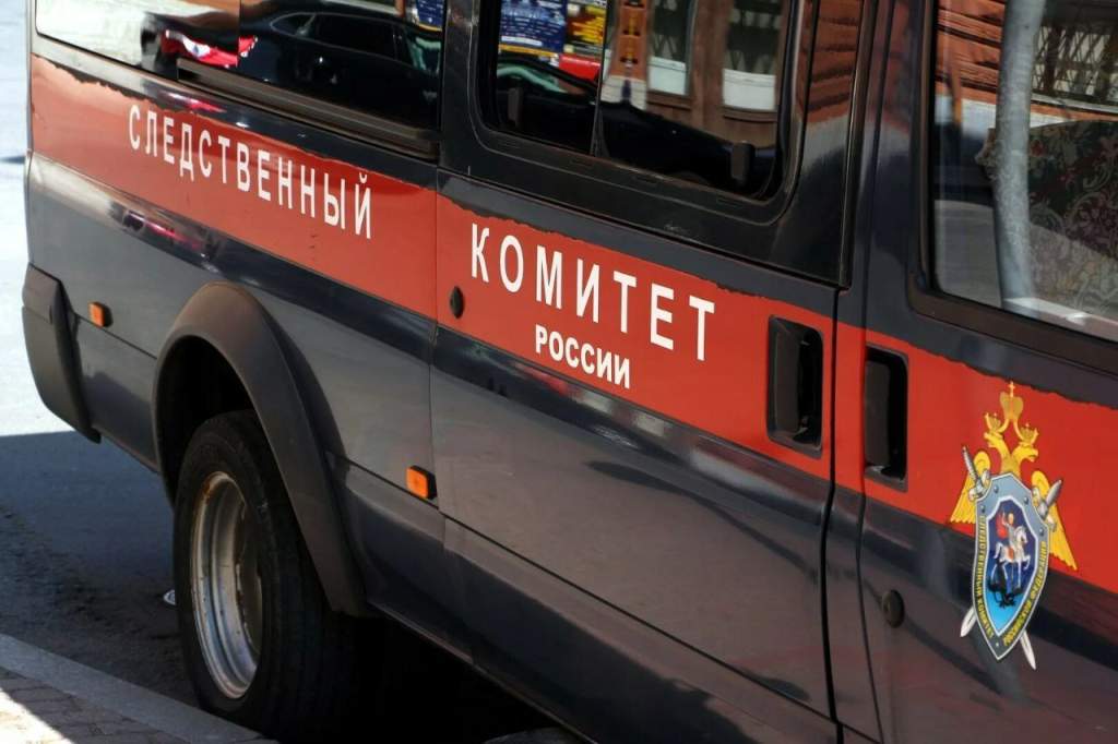 На Дону агрессивный ротвейлер напал на 12-летнего подростка