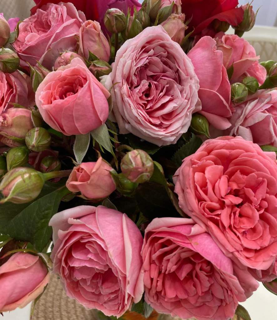 Гороскоп на 8 июня