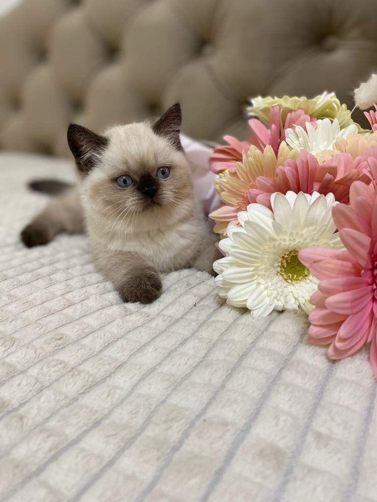 Гороскоп на 14 июня 