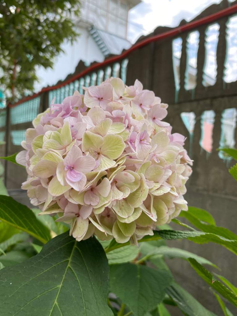 Гороскоп на 23 августа