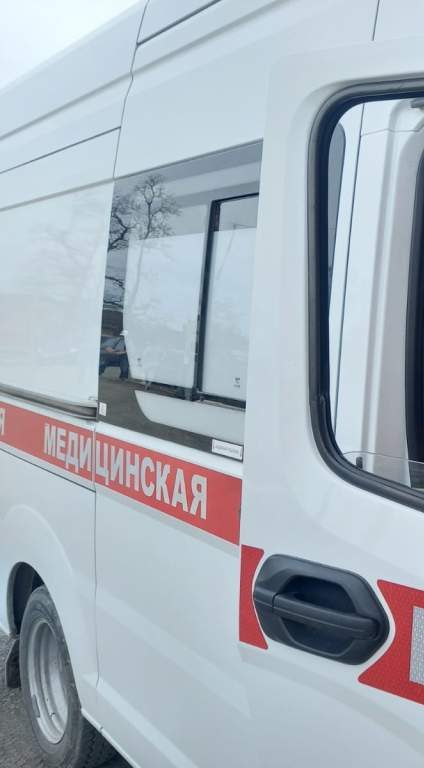 Как избежать смертельно опасной аллергии на укусы пчел и ос: методы защиты