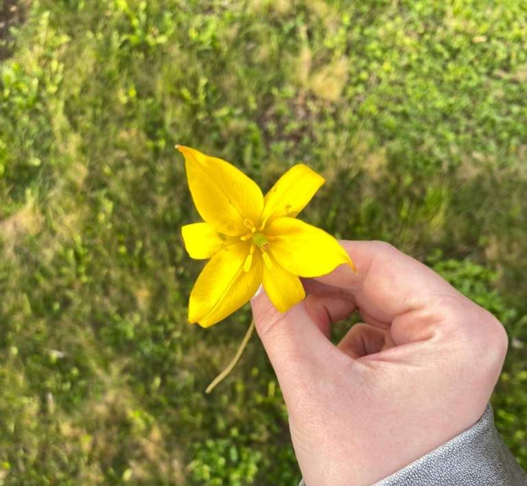 Как недосып приводит к набору веса и проблемам с сердцем