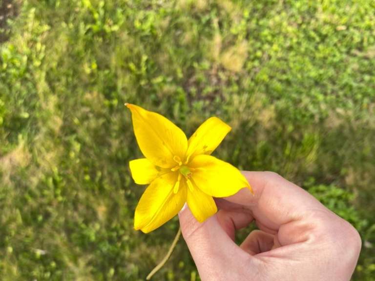 Какие причины вызывают аллергические реакции и какие существуют способы их устранения?