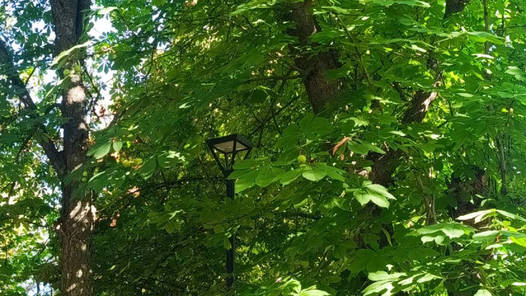 Ожидается период экстремальной жары