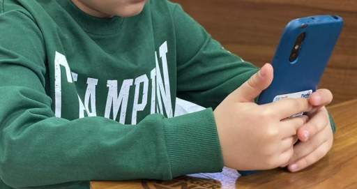 Ведомство по надзору в сфере связи, информационных технологий и массовых коммуникаций информирует о введении ограничений на голосовые вызовы, осуществляемые через зарубежные приложения для обмена сообщениями