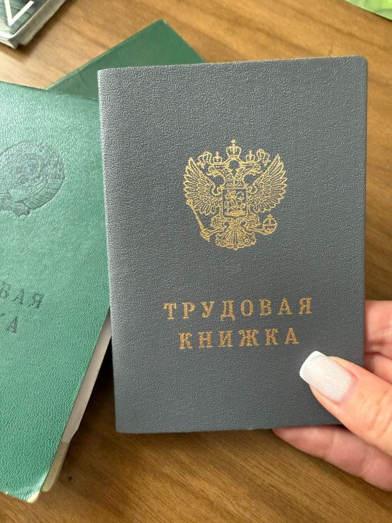 Проверяем электронную трудовую книжку: где смотреть