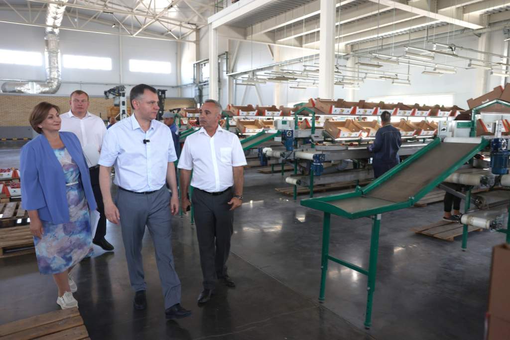 Ростовская область нуждается в создании агроагрегаторов