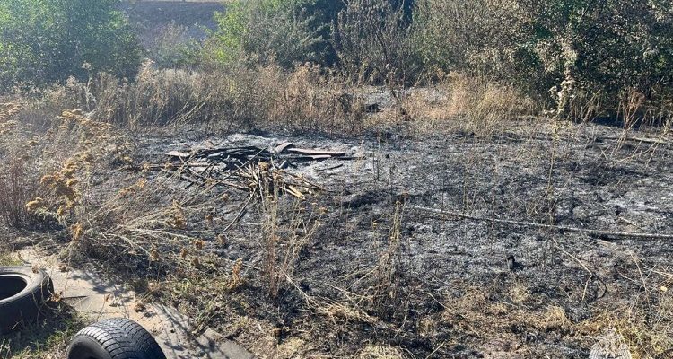 За разведение костра на своем участке, приведшее к распространению огня и возникновению ландшафтного пожара, жительницу Ростовской области привлекут к административной ответственности в виде штрафа