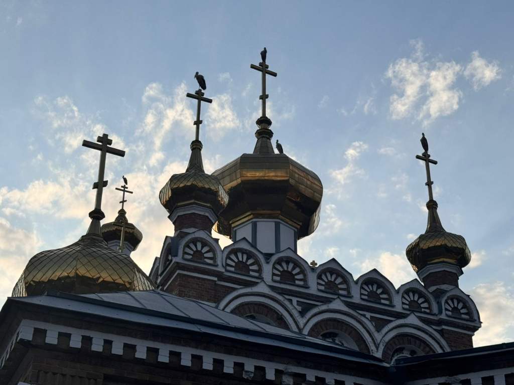 Аист на крыше — мир на земле