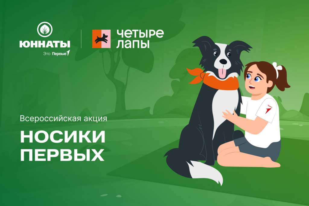 Движение Первых запускает Всероссийскую акцию помощи животным «Носики Первых»