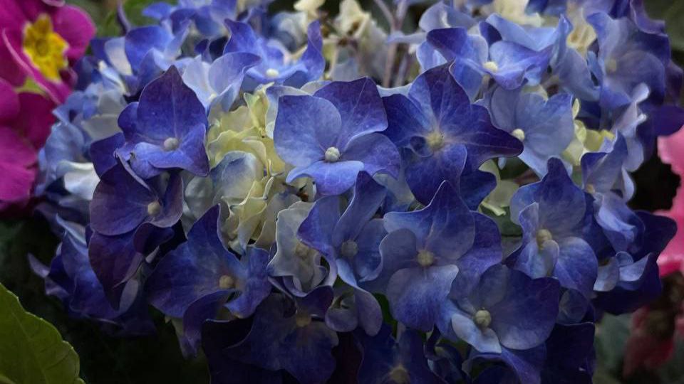 Дорогие спортсмены, поздравляем вас с днём физкультурника – праздником здоровья, силы и духа!