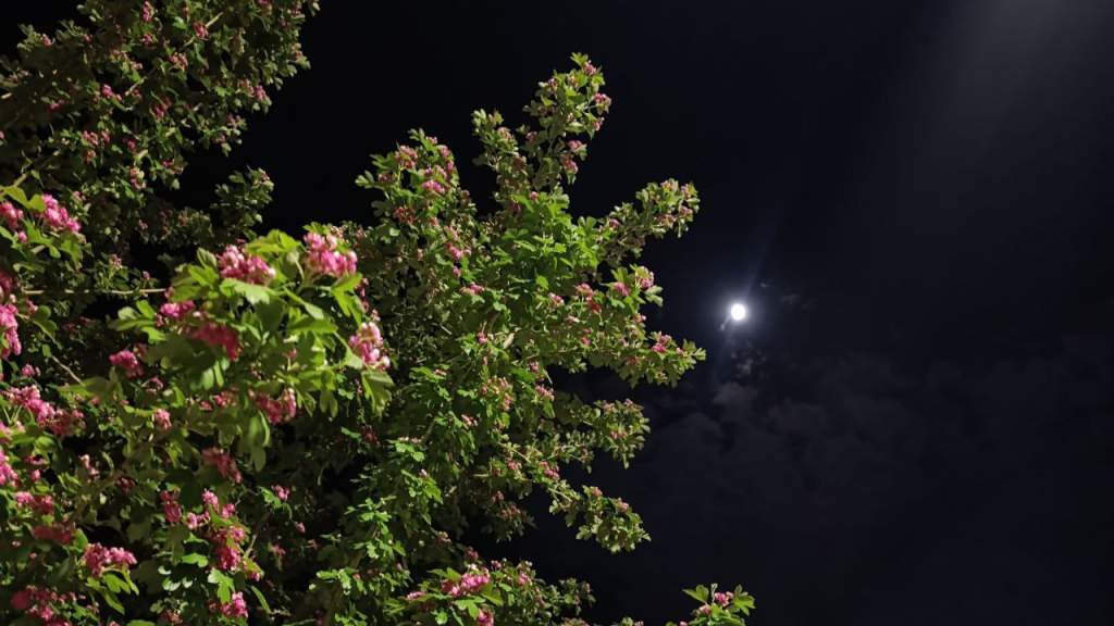 Гороскоп на 3 августа для всех знаков зодиака