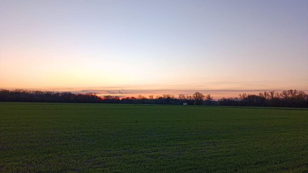 Новые лимиты охоты на диких животных