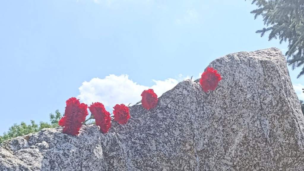 9 августа 2025 года в России установлен День воинской славы— День окончания Ленинградской битвы (1944 год)