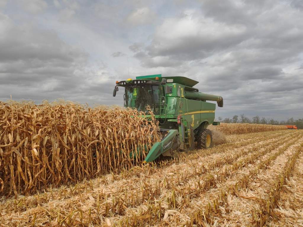 Осенние работы на полях Мартыновского района