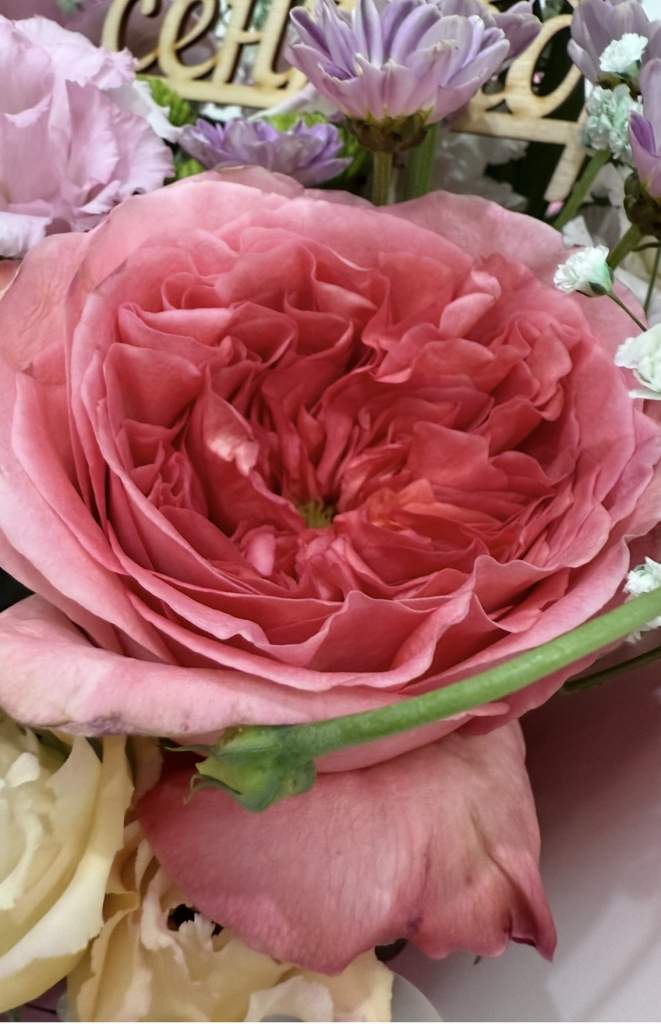 Гороскоп на 14 сентября