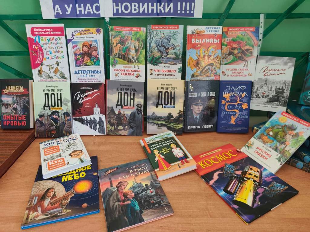 Работник сельской библиотеки х. Лесной провела выставку новых поступлений книг