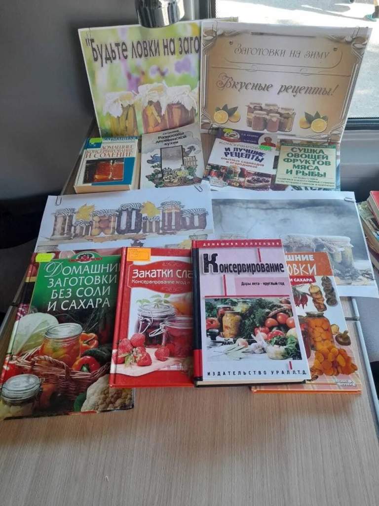 Зимние запасы: обзор литературы для умелых хозяек от библиотеки сл. Большая Мартыновка!