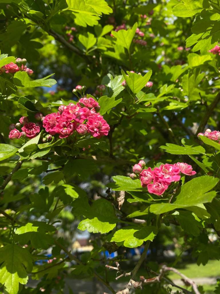 Гороскоп на 28 сентября