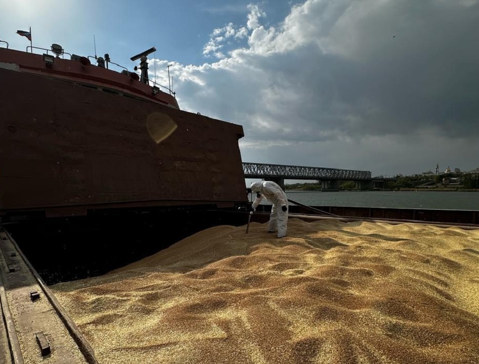 Более 3 млн тонн подкарантинной сельхозпродукции и 3,5 млн кубометров складов обеззаразили Донские специалисты