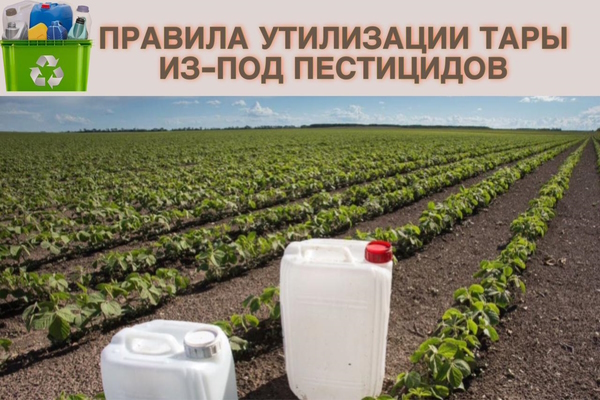 Россельхозцентр напоминает об обязательной утилизации тары из-под пестицидов