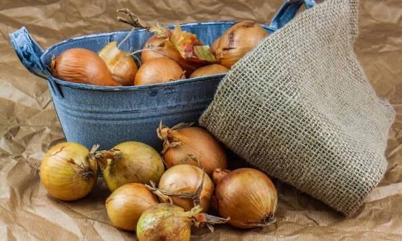 Как сохранить лук сухим и целым до весны