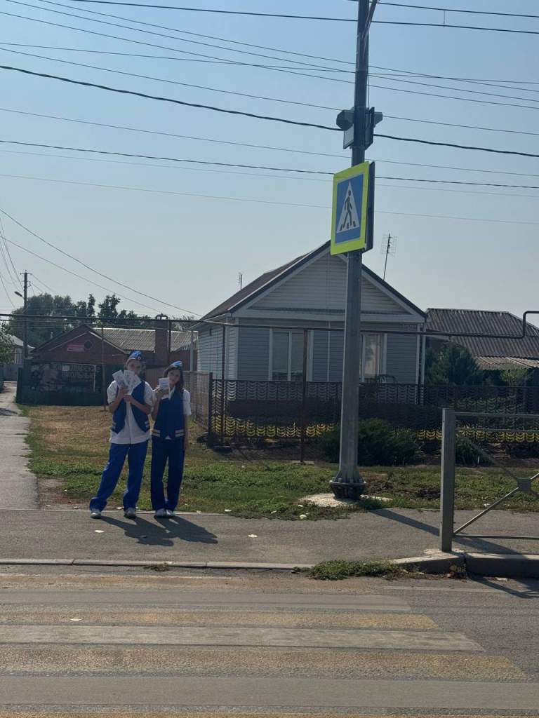 На территории Мартыновского района проводится профилактическое мероприятие «Несовершеннолетний пешеход»