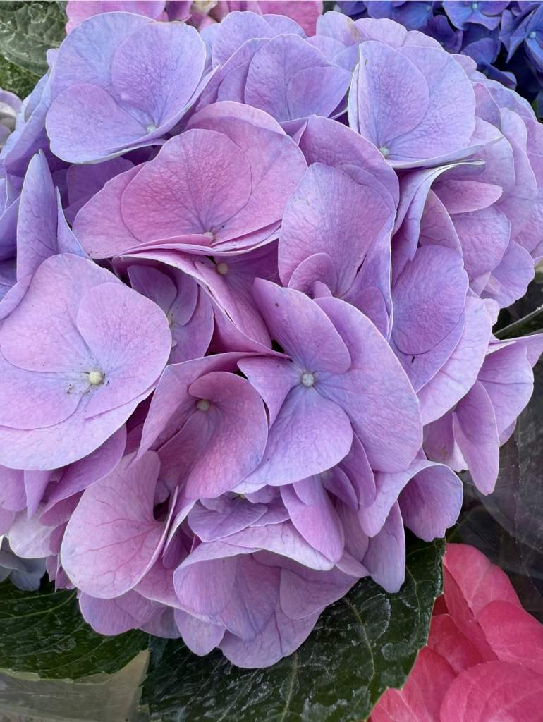 Гороскоп на 11 октября