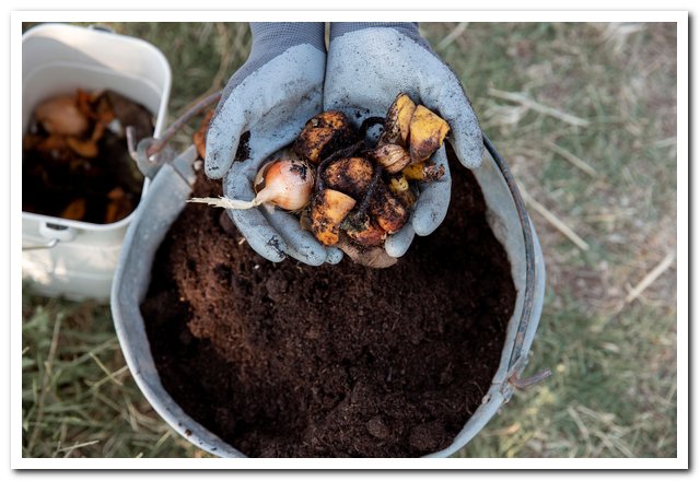 Помогаем саду перенести холода