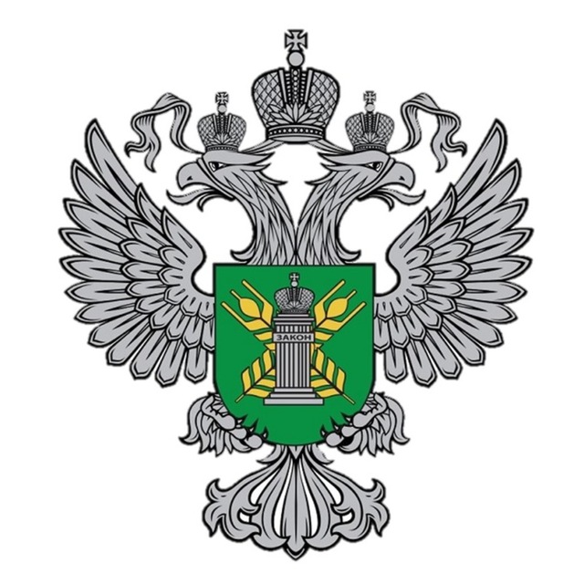 Картофельная моль атакует: Россельхознадзор предупреждает об угрозе урожаю на Дону