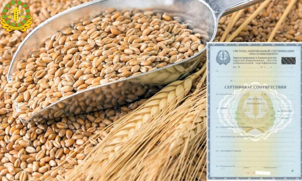 Россельхозцентр подтвердил качество семян высших категорий на всех этапах