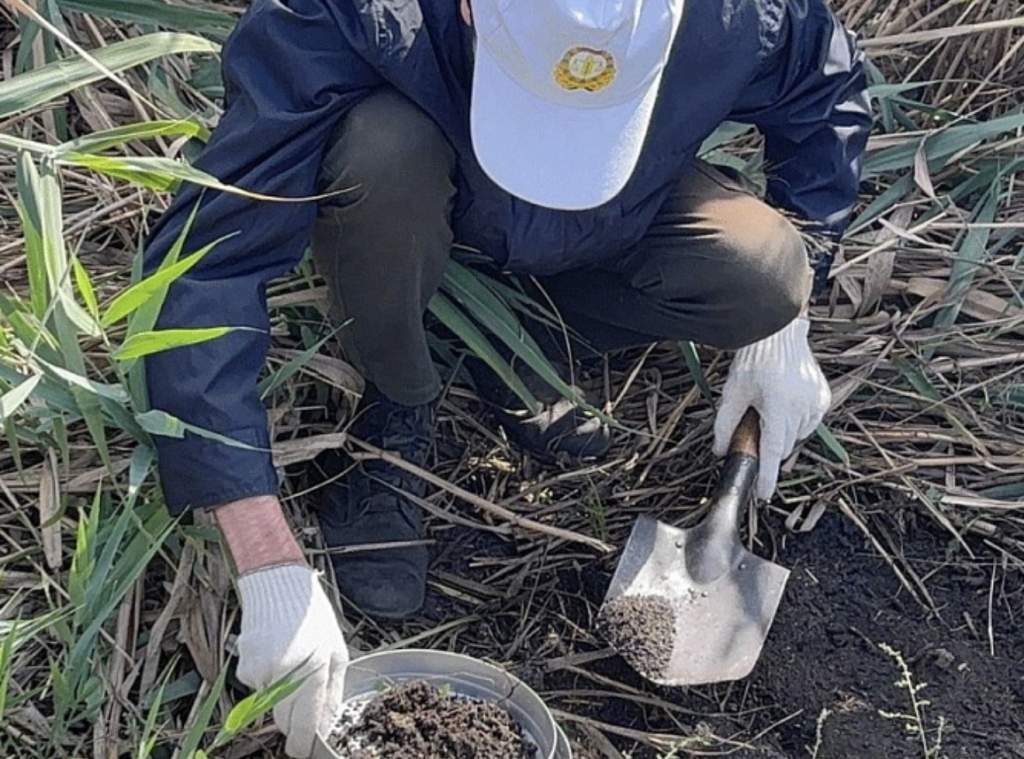 Ростовская область выдохнула: саранча не планирует зимовку