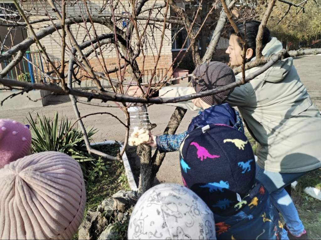 Синичкин день в «Аленушке»: Юные «Юнги» учатся заботе о пернатых друзьях!