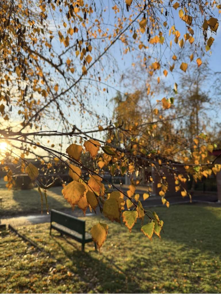 Нужны ли лавочки?