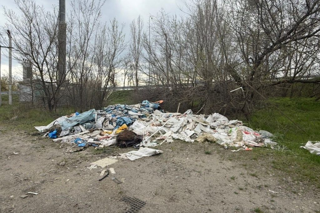 «Чистый регион»: На Дону усилили контроль за незаконным вывозом мусора