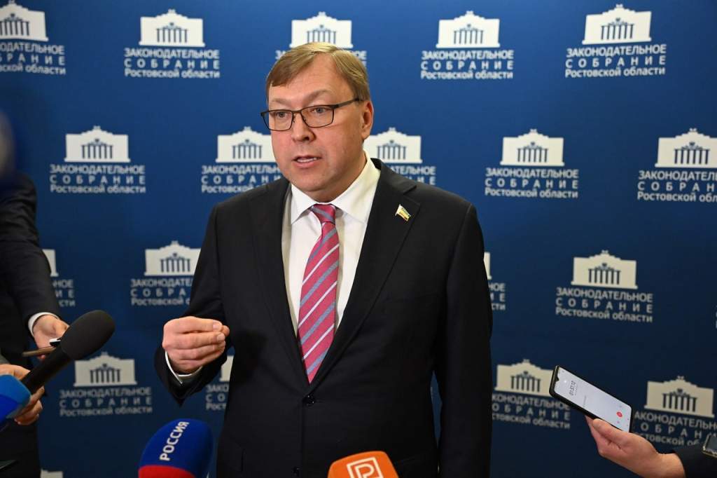 Депутаты «Единой России» обеспечили развитие системы соцподдержки многодетных семей на Дону