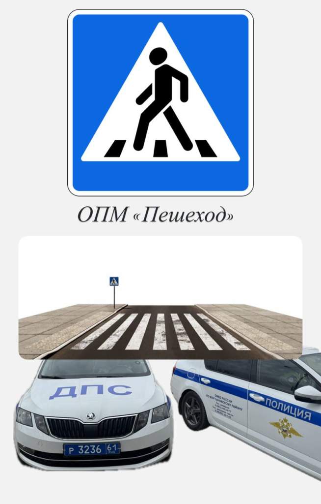 На территории Мартыновского района проводится профилактическое мероприятие «Пешеход»