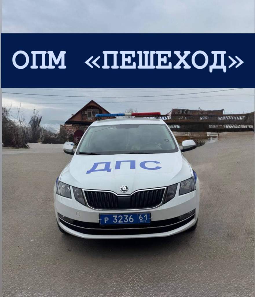 На территории Мартыновского района проводится профилактическое мероприятие «Пешеход»