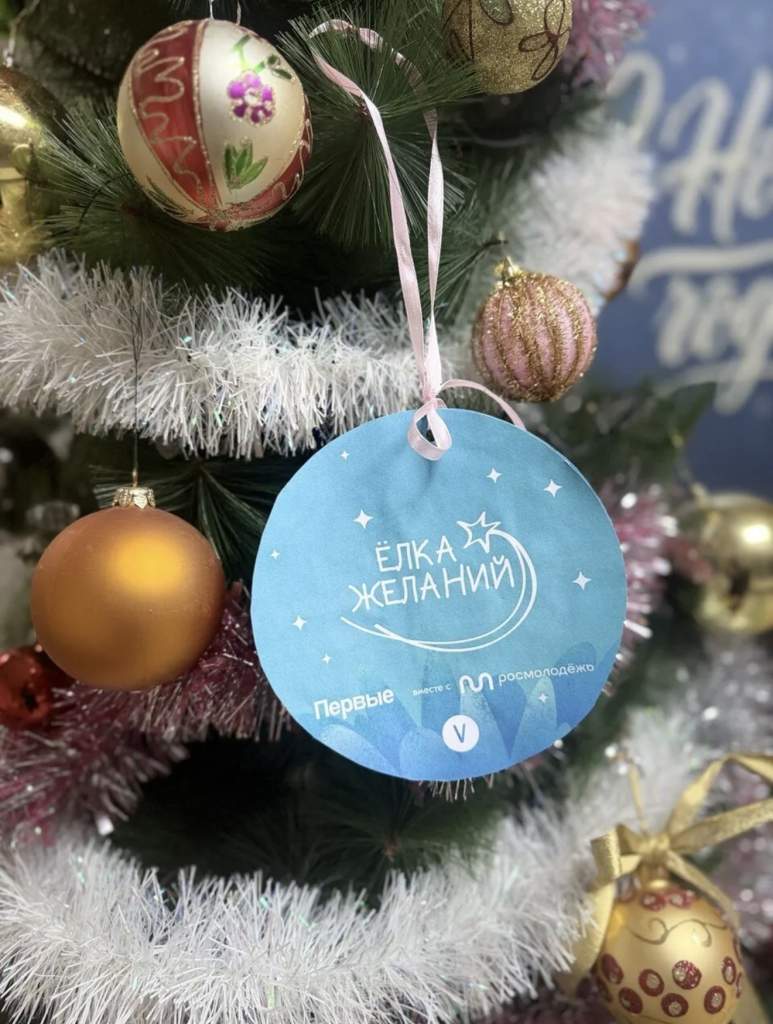 В Мартыновском районе зажглась «Елка желаний»: единороссы спешат исполнить детские мечты!