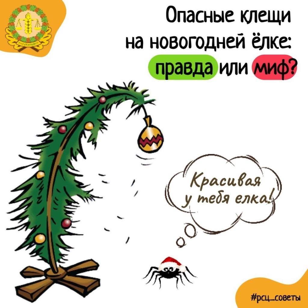 Специалисты рассказали о «ёлочных» клещах