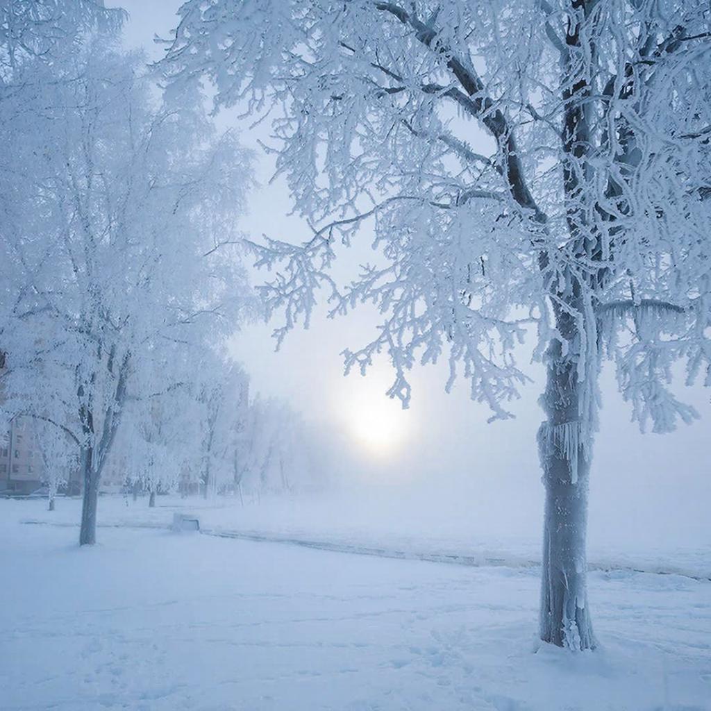 Внимание, Ростовская область! МЧС предупреждает о резком ухудшении погоды