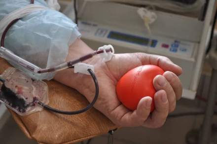 С 1 января 2026 года в Ростовской области изменился порядок получения ежегодной выплаты для почетных доноров