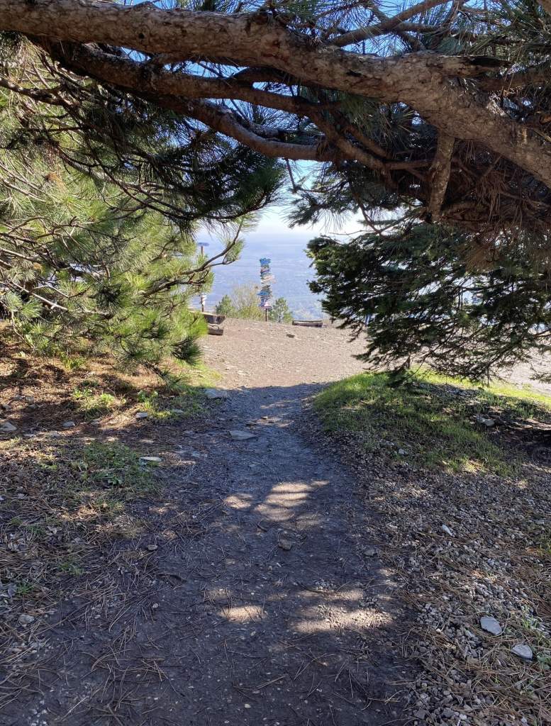 Отпуск 2026: Планируем отдых с умом, чтобы не потерять в деньгах!