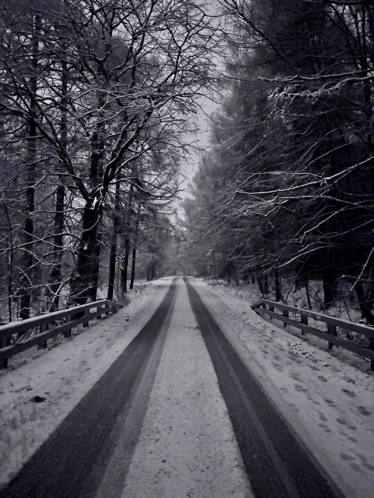 Климат «штормит»: Ростовскую область завалило снегом и морозами – что происходит?